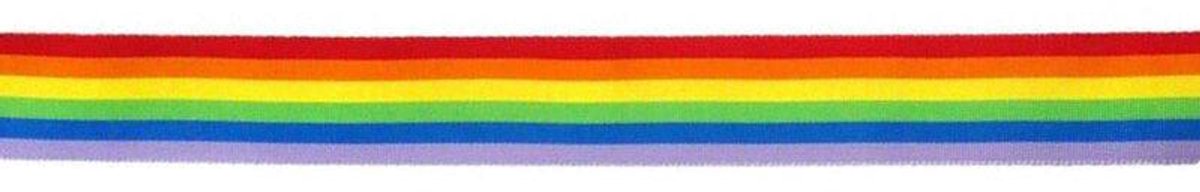 PRIDE | Pride - Lgbt Flag Strip