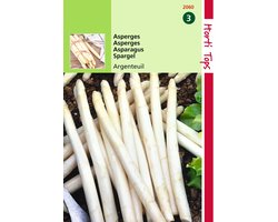 2 stuks - Hortitops - Asperges Argenteuil