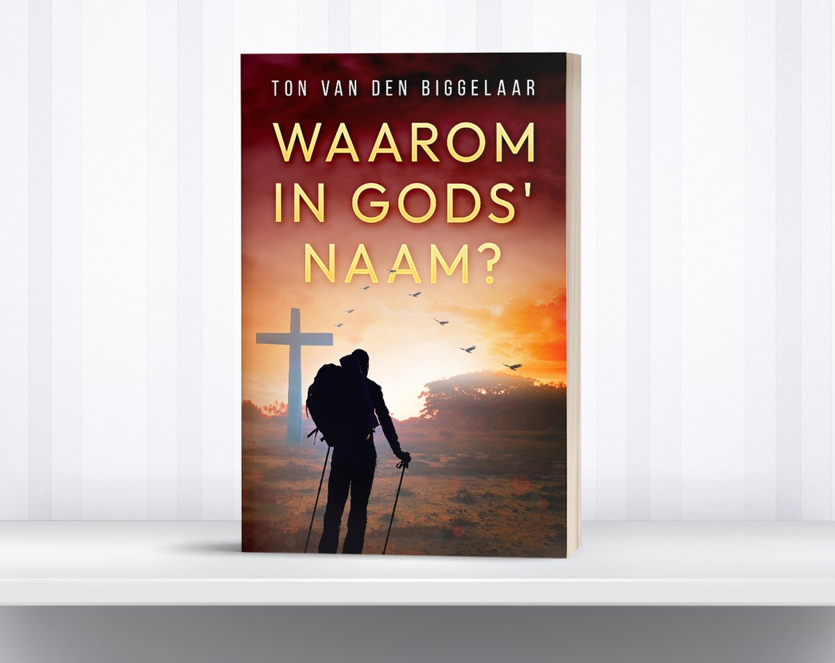 Waarom in Gods' Naam?, Ton van den Biggelaar | 9789083302201 | Boeken
