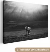Canvas schilderij - Paard - Landschap - Zwart - Wit - Foto op canvas - Canvasdoek - 150x100 cm - Schilderijen op canvas