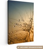 Canvas schilderij - Bloemen - Water - Zon - Lucht - Canvasdoek - Muurdecoratie - Woonkamer decoratie - 20x30 cm - Foto op canvas