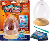 Aqua Dragons® Jurassic Time Travel Eggspress