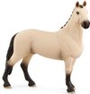 foto van schleich HORSE CLUB - Hannover ruin, falbe - Speelfiguur - Kinderspeelgoed voor Jongens en Meisjes - 5 tot 12 jaar - 13928