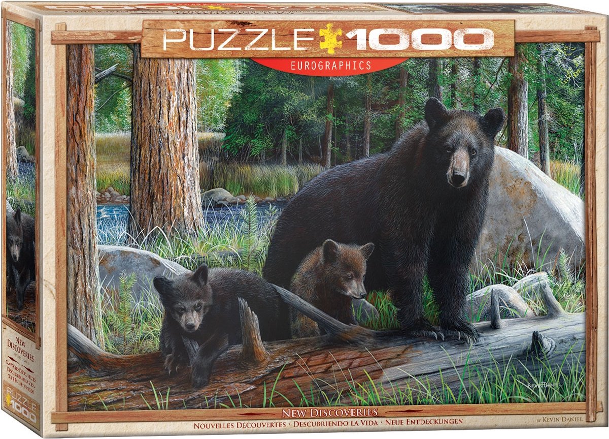Eurographics puzzel legpuzzel New Discoveries Daniel 1000 stukjes.