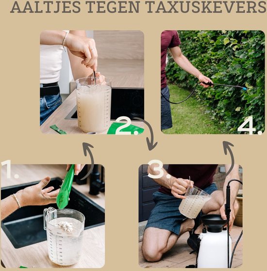 Pokon Aaltjes tegen Taxuskevers - 25 miljoen Aaltjes voor 150
