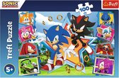 Trefl - Puzzles - "100" - Meet Sonic / SEGA Sonic The Headgehog