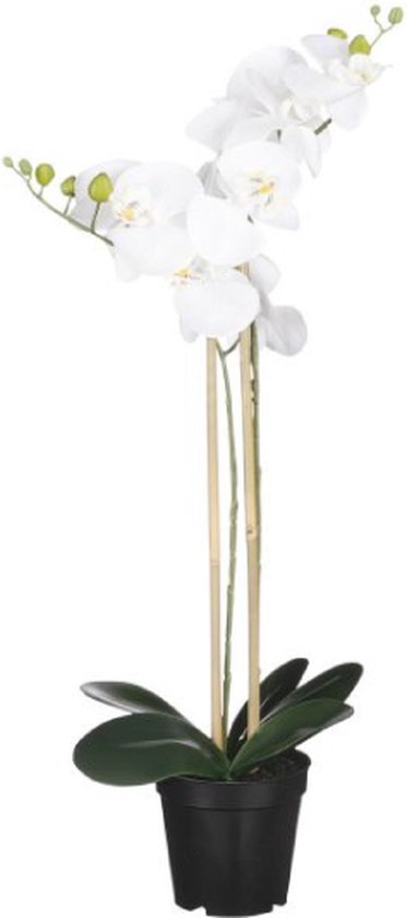 Mica Decorations Plante Artificielle Orchidée - Wit - 70 x 38 cm