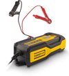 Powerplus POWX4207 Acculader – Druppellader – voor auto, motor, caravan, scooter, boot - 160W – 12V -  10A – 3 tot 200Ah