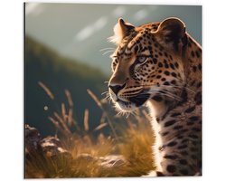 Dibond - Dier - Panter - Wildernis - Gras - 50x50 cm Foto op Aluminium (Wanddecoratie van metaal)
