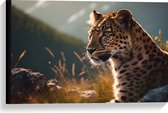 Canvas - Dier - Panter - Wildernis - Gras - 60x40 cm Foto op Canvas Schilderij (Wanddecoratie op Canvas)