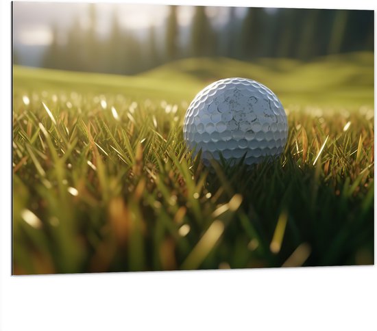 Dibond - Gras - Golf - Golfbal - 100x75 cm Foto op Aluminium (Met Ophangsysteem)