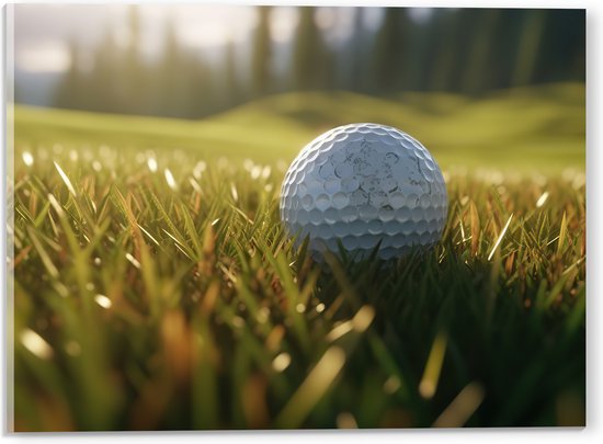 Acrylglas - Gras - Golf - Golfbal - 40x30 cm Foto op Acrylglas (Met Ophangsysteem)