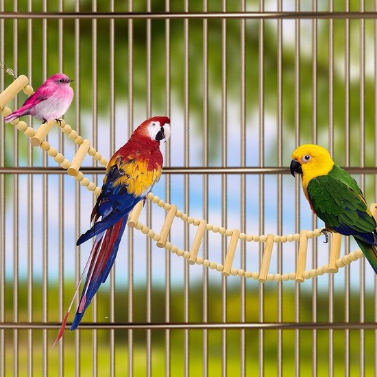 Support D'accessoire De Cage À Oiseaux Jouet À Mâcher Perroquet