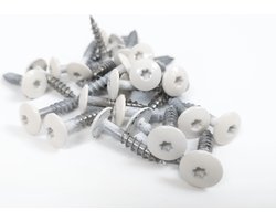 Belplast Trespa / HPL Torxcolorschroef 4,8 x 25 RAL 9001 50st.