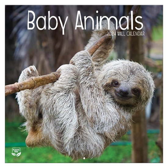 Bébés animaux - Calendrier 2024