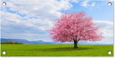 Tuinposter Sakura - Kleuren - Lente - 60x30 cm - Tuindoek - Buitenposter