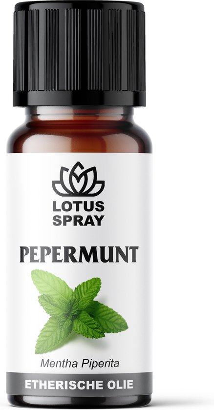 Huile essentielle de menthe poivrée : ses bienfaits et propriétés