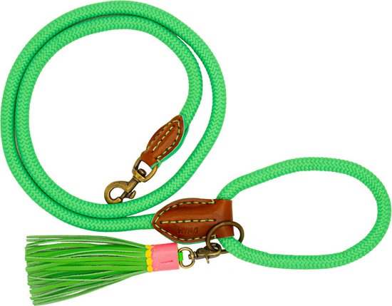DWAM Hondenriem – Riem voor Honden - Groen – S – Polyester – 155 x 1 cm - Apple