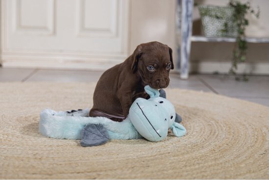 Un chiot brun est assis sur une peluche vache vert menthe avec des cornes et des oreilles grises.