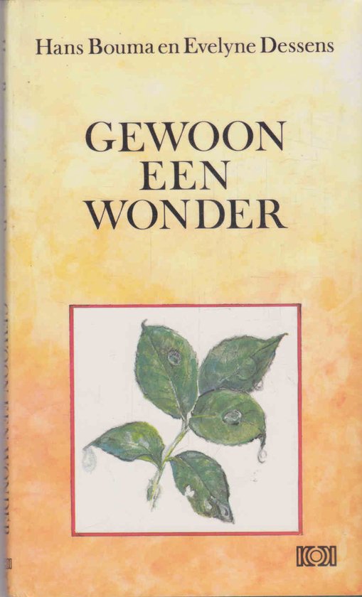 Gewoon Een Wonder