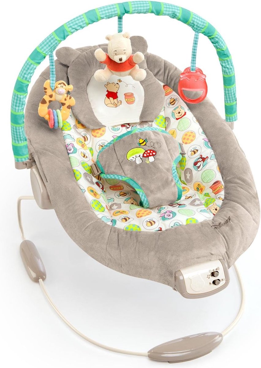 Goedkoopste Disney Baby Winnie The Pooh Wip Met Vibraties, Automatische Uitschakelfunctie, Melodieën, Volumeregelaar, Afneembare Hoofdsteun En Speelboog, Grijs, 48.26 x 58.42 x 58.42 cm