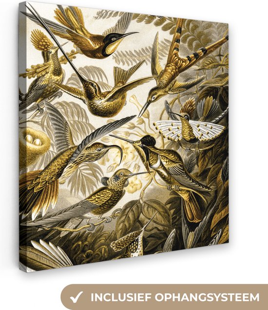 Canvas Schilderij Trochilidae - Ernst Haeckel - Goud - 50x50 cm - Wanddecoratie