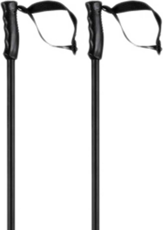 Head Multi skistokken - Zwart/Zwart