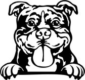 Sticker - Glurende Hond - Amerikaanse Bull - Zwart - 25x20cm - Peeking Dog