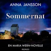 Maria Wern – historier 2 - Sommernat