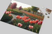 Tulpen Puzzel - Tulpenpark - Landschap - Natuur - Kleurrijk - Bloemen - Prachtig Tulpenthema - Betoverende Bloemenpuzzel - Hoogwaardige Kartonnen Puzzel - Ontspannende Activiteit - Tulpenliefhebbers Puzzel - Kleurrijk en Gedetailleerd - 1000 Stukjes