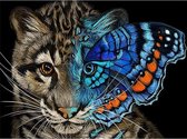 Diamond painting- Katten vlinder - 40X50CM- Diamond painting pakket - HQ- VOLLEDIG dekkend - Diamant Schilderen - voor Volwassenen – ROND- TOPMO