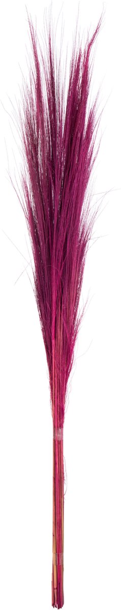 J-Line kunstplant bosje van 15 grassprieten - pluim - fuschia Roze