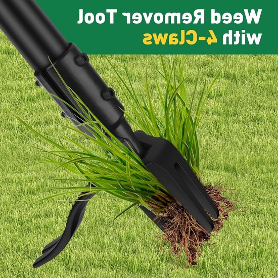 Dailygoods - BlumWay Onkruidsteker, onkruidverwijderaar met roestvrij staal, 4-klauwen en pedaal, voor efficiënt verwijderen van onkruid, tuingereedschap met verstelbare lange handgreep (162,56 cm) van Dailygoods — afbeelding 4