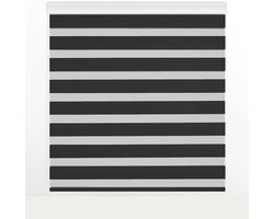 Rolgordijn Dag en Nacht - Zebra rolgordijn Dubbel rolgordijn - Raamdecoratie - Dubbel weefsel - 170 x 180 cm - Zwart