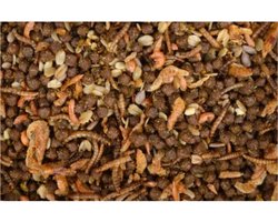 Oswalt - Egelvoer met Insecten 2.5L / 1.6KG - Egelvoer