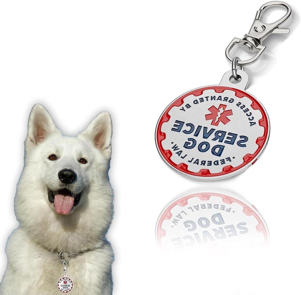 Servicehond Naamplaatje - Hulphond ID Tag - Huisdier Identificatie - Hoge Zichtbaarheid Medisch Symbool - Voor Kleine Honden - Zilver