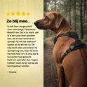 Chien marron portant un harnais anti-traction noir Jake & Jacky, assis sur un sentier forestier. Comprend un avis client.