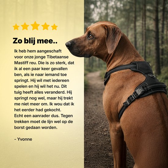 Chien marron portant un harnais anti-traction noir Jake & Jacky, assis sur un sentier forestier. Comprend un avis client.