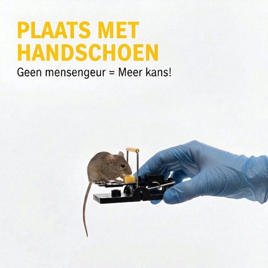 Een hand met een blauwe handschoen die een muizenval met een muis en kaas vasthoudt. Tekst: Plaats met handschoen. Geen mensengeur = Meer kans!