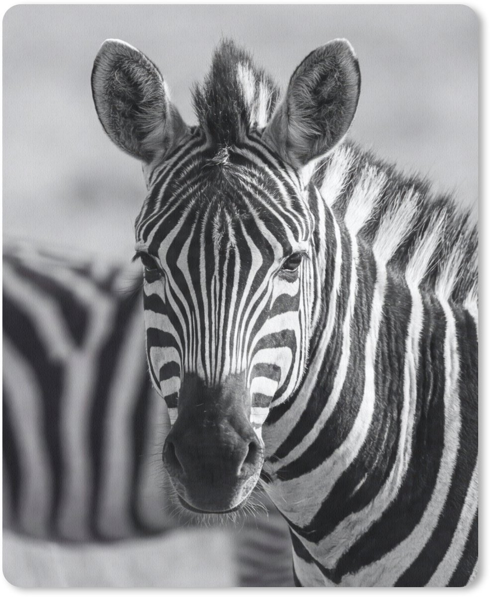 Muismat 12x16 cm - Mousepad Zebra's - Zwart - Wit - Muismatten