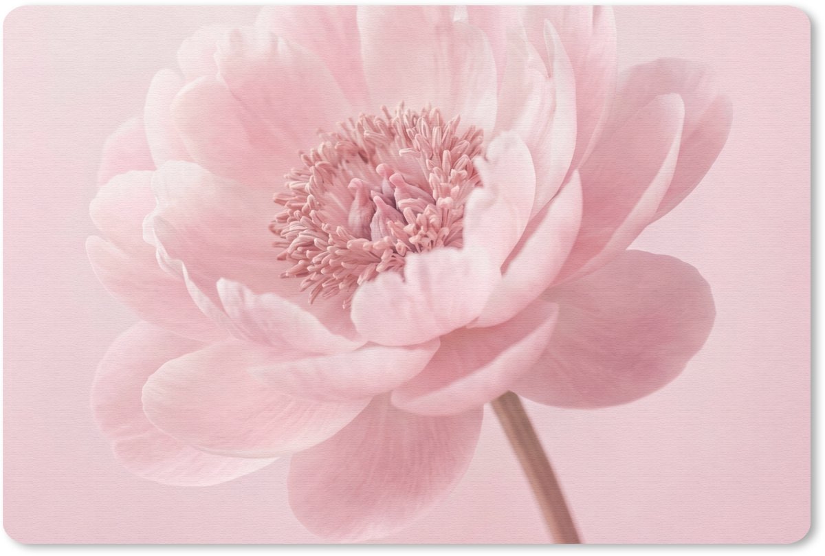 Muismat 13x8 cm - Mousepad Bloem - Pioenroos - Roze - Muismatten