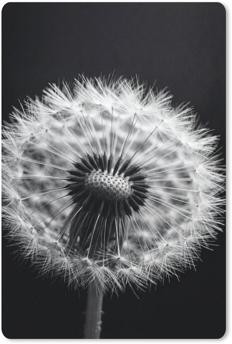 Muismat 13x20 cm - Mousepad Paardenbloem - Zwart - Wit - Muismatten