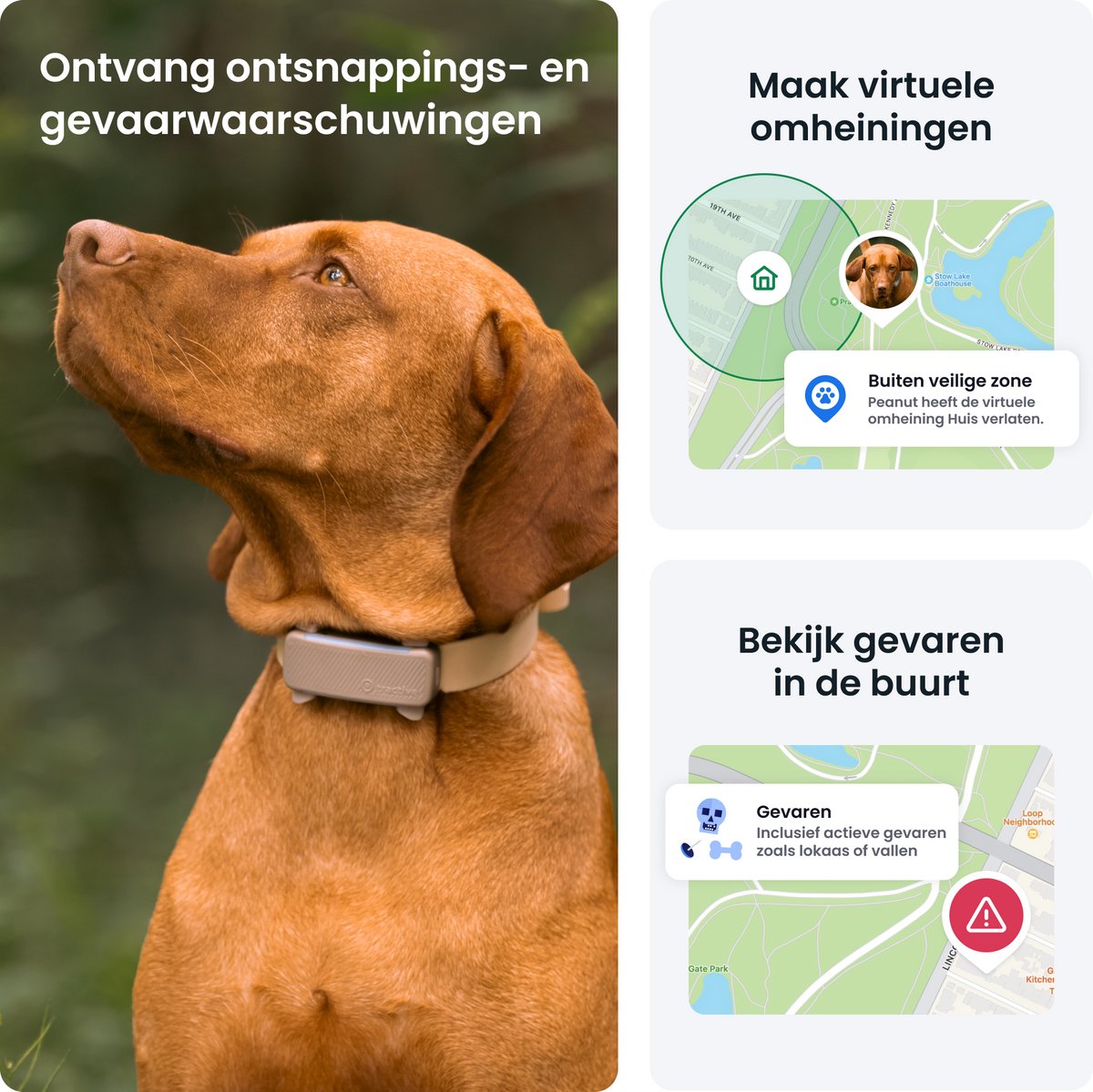 Tractive DOG 6 - Bruin thumbnail 5