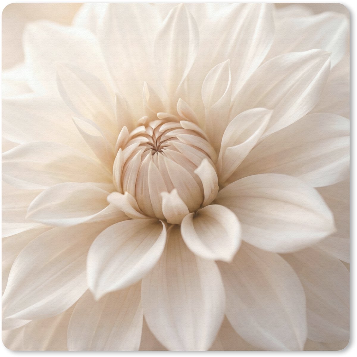 Muismat 30x30 cm - Mousepad Bloem - Dahlia - Wit - Muismatten