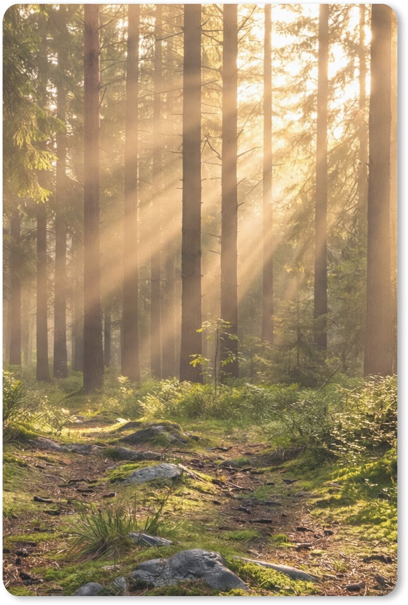 Muismat 13x20 cm - Mousepad Bos - Zonlicht - Gras - Muismatten