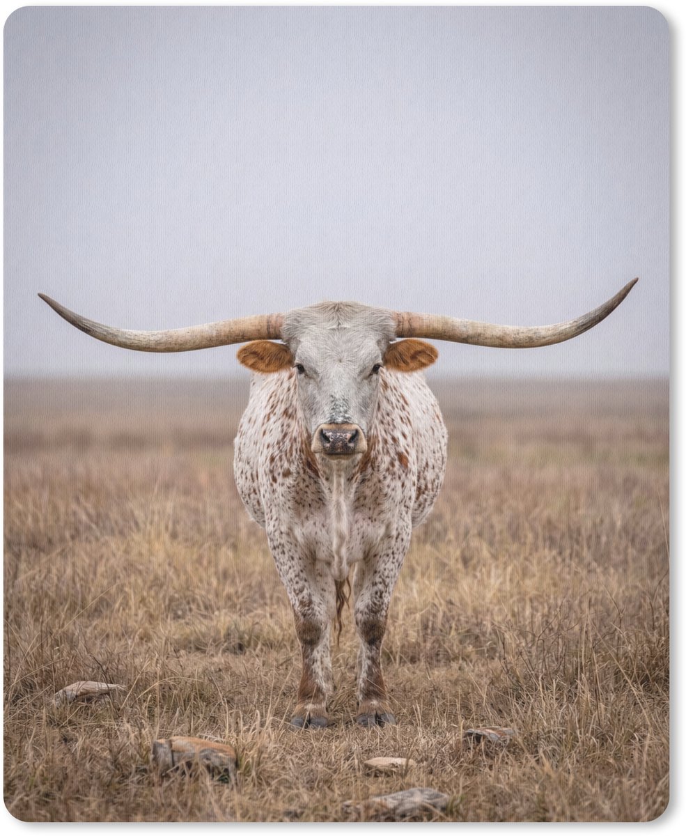 Muismat 12x16 cm - Mousepad Longhorn - Grasveld - Dier - Muismatten