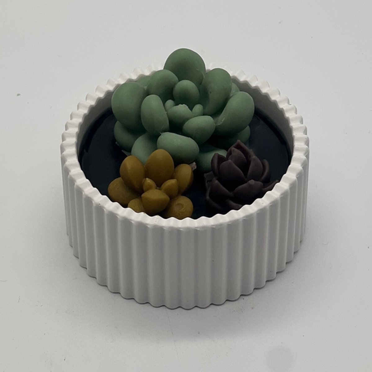 Kaars in glazen pot - cactus collectie - 788
