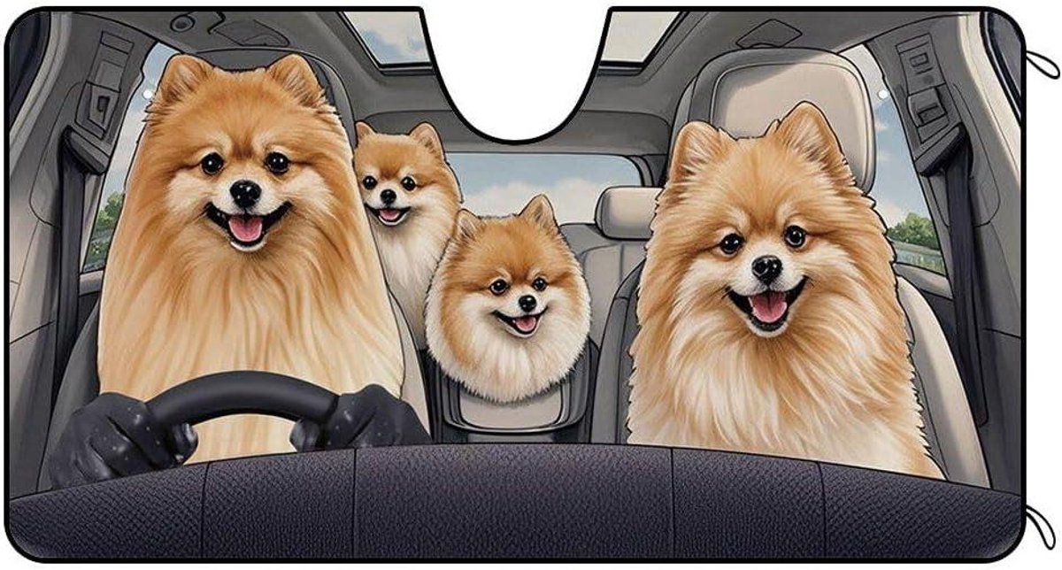 Auto Voorruit Zonnescherm - Zonneklep Auto - Voertuig Koel Houden - UV Ray Protector - 130x68 cm - Multi
