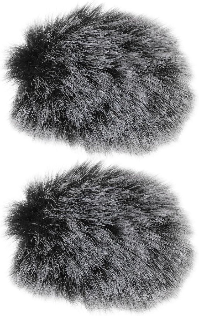 Microfoon Voorruit - Windscherm Set - Ruis Blokkeren - Directe Vervanging - 2 Stuks - Zilver