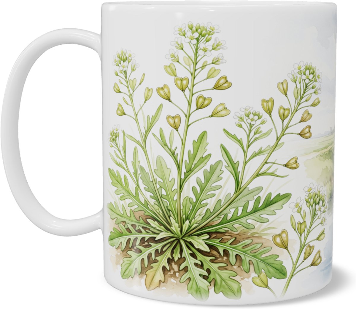 Mok met rozetkruidkers - Aquarel landschap - Natuur cadeau